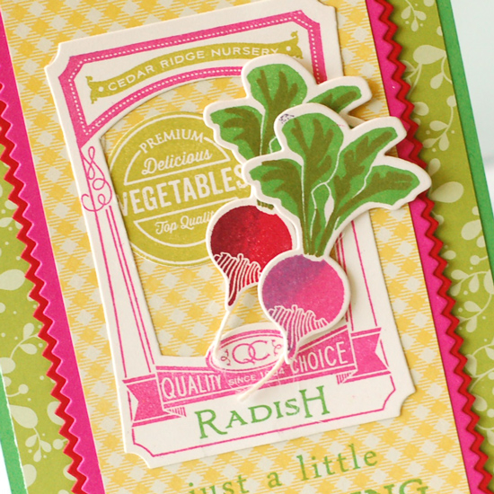 stamps:  vegetable garden, garden variety II, think big favorites #22<br />
ink:  pure poppy,...