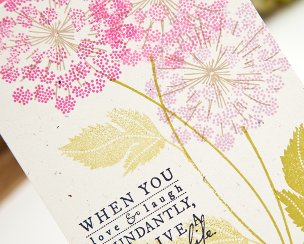 Supplies<br />
<br />
Stamps: Meadow Greens<br />
Ink: hibiscus burst, lavender moon,...