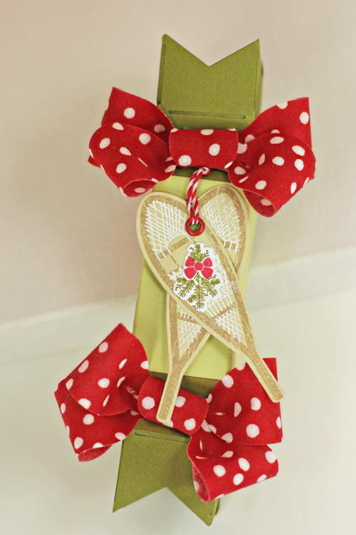 Stamps: 2 Feet Deep<br />
Cardstock: Ripe Avocado, Spring Moss, Stamper&#039;s Select White,...