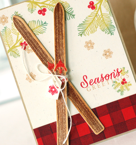 Stamps:  Two Feet Deep, Peaceful Pinecones, Bells &amp; Boughs (berries), Autumn Pattern...