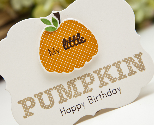 Supplies<br />
<br />
Stamps: Polka Dot Parade #8<br />
Ink: Classic Kraft, Orange Zest, Dark...