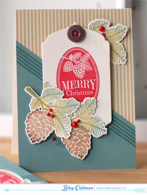 Stamps:  2013 Holiday Tags, Peaceful Pine Cones, BB: Super Stripes<br />
ink:  ocean tides,...