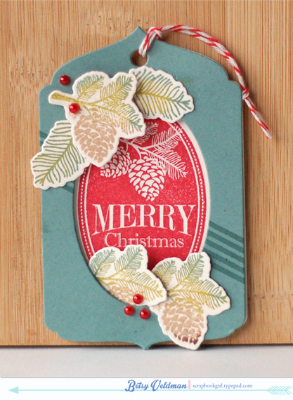 Stamps:  2013 Holiday Tags, Peaceful Pine Cones, BB: Super Stripes<br />
ink:  ocean tides,...