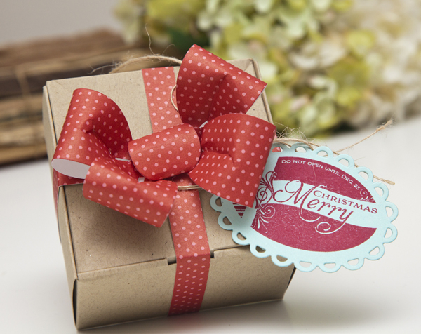 Supplies<br />
<br />
Stamps: 2013 Holiday Tags<br />
Ink: Pure Poppy<br />
Cardstock: Aqua...