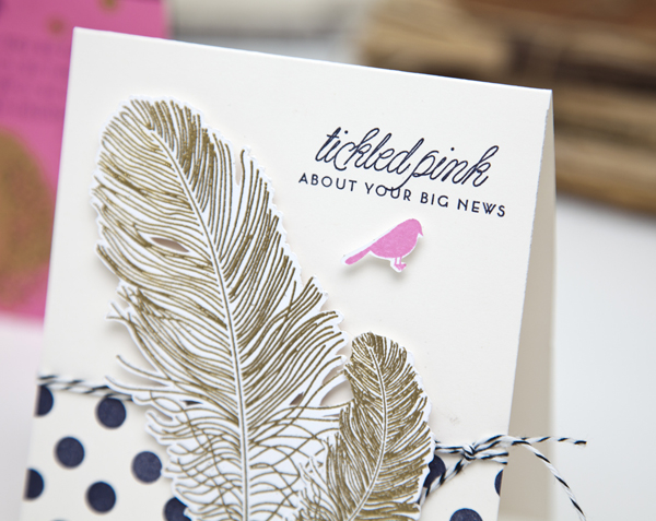 Supplies<br />
Stamps: Feather Finery, Polka Dot Basics<br />
Ink: True Black, Versamark,...