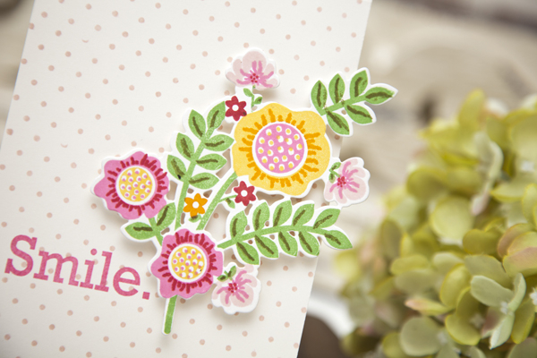 Supplies<br />
<br />
Stamps: Bold Bouquet, Polka Dot Basics<br />
Ink: Sweet Blush, Summer...