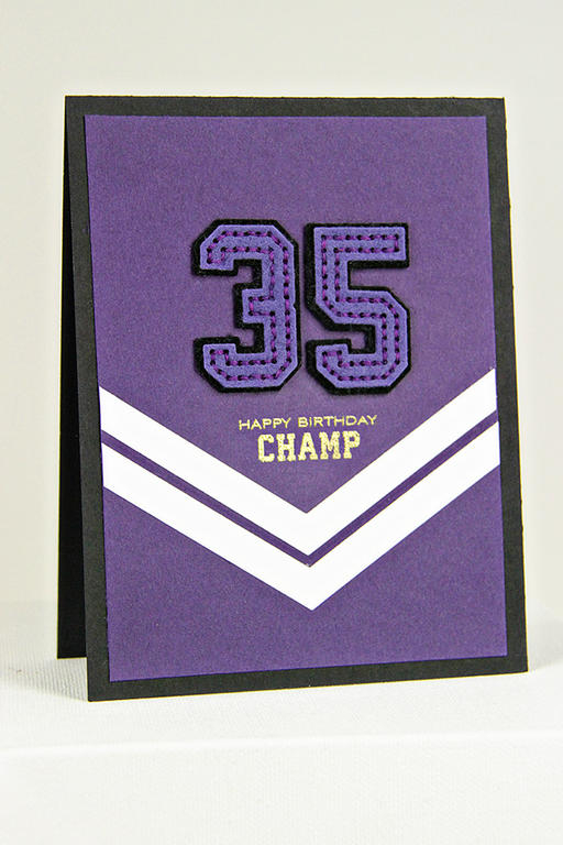 Stamps: Football Frenzy<br />
Cardstock: True Black, Royal Velvet, Stamper&#039;s Select...