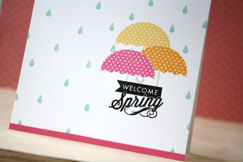 cardstock: stamper&#039;s select white, hibiscus burst<br />
ink: true black, harvest gold,...