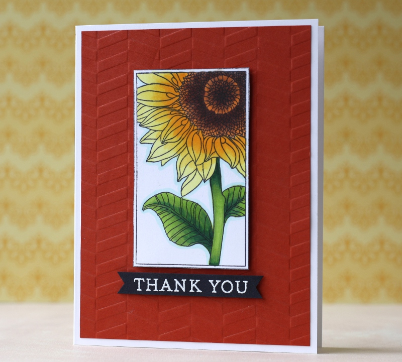 cardstock: terracotta tile, stamper&#039;s select white, true black<br />
ink: memento tuxedo...