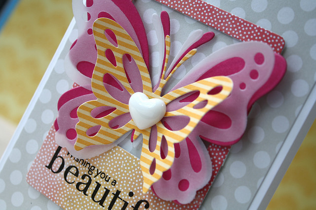 cardstock: white, raspberry fizz, vellum<br />
pattern paper: summer sunrise stripe, soft stone...