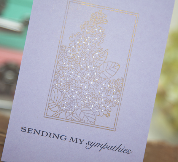 Supplies<br />
<br />
Stamps: Botanical Blocks II, Banner Sentiments<br />
Cardstock: Winter...