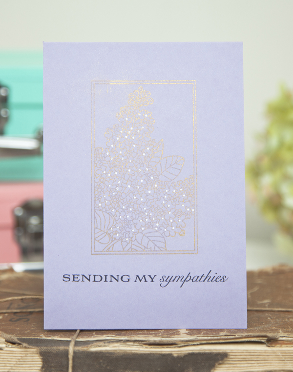Supplies<br />
<br />
Stamps: Botanical Blocks II, Banner Sentiments<br />
Cardstock: Winter...