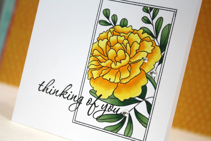cardstock: white<br />
ink: true black<br />
stamps: botanical blocks 2, keep it simple:...