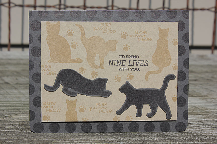 size: 5 1/2&quot; x 4 1/4&quot;<br />
<br />
stamps: Superstition, Everyday Cat Sentiments,...