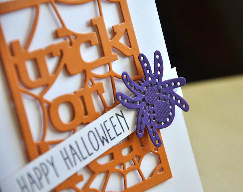 Stamps: Along Came A Spider and Keep It Simple: Halloween<br />
Ink: True Black<br />...