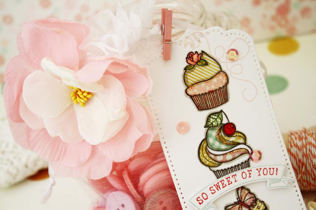 Papertrey Ink Supplies Used:<br />
Stamps:<br />
Baker&#039;s Dozen and Stitched Swirls<br />...