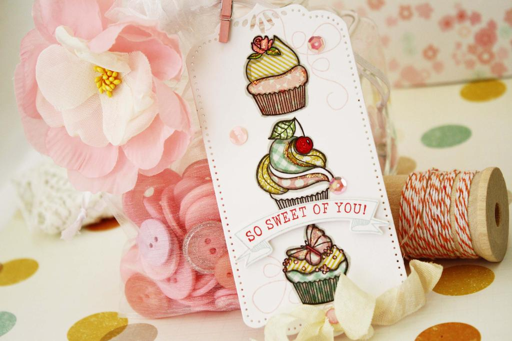 Papertrey Ink Supplies Used:<br />
Stamps:<br />
Baker&#039;s Dozen and Stitched Swirls<br />...