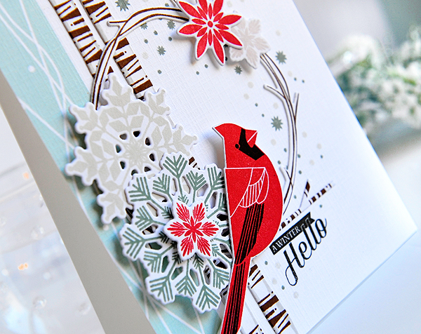 STAMPS: Winter Woods, Twig Wreath, Confetti Toss, Fab Flakes, Birthday Cheer<br />
DIES: Winter...