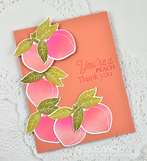 Paper: stamper&#039;s select white, melon berry<br />
Stamps: Be Mine, Valentine, Thank You...
