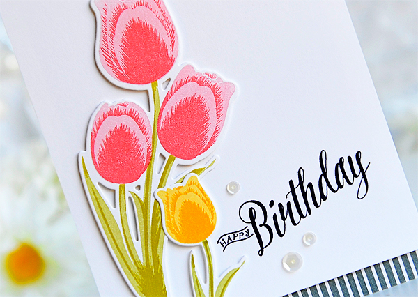 STAMPS: Tulip Time<br />
DIES: Tulip Time<br />
INK: Sweet Blush, Berry Sorbet, Bright...