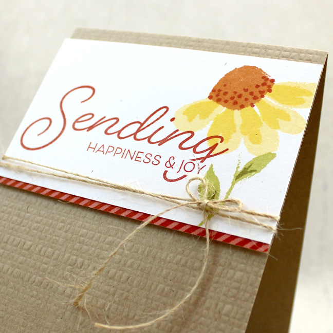 Stamps: 2016 Anniversary Set: Painted Petals - Papertrey Ink<br />
Cardstock: Classic Kraft,...