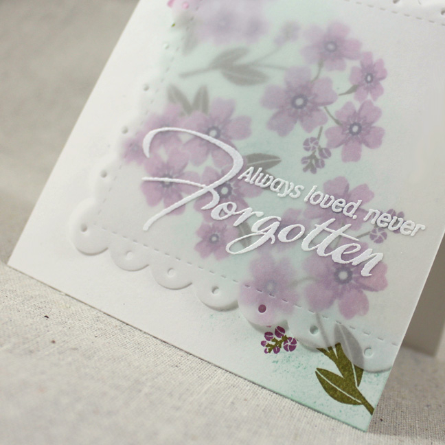 Stamps: Forget Me Nots - Papertrey Ink<br />
Cardstock: Rustic White, Vellum - Papertrey Ink<br...