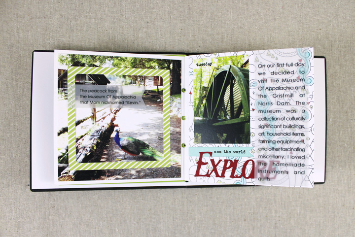 Stamps: Traveler&#039;s Journal: Typed Notes, Traveler&#039;s Journal: Adventure, What The...