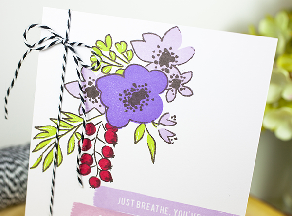 Supplies<br />
<br />
*all supplies are available at Papertrey Ink unless otherwise noted<br...