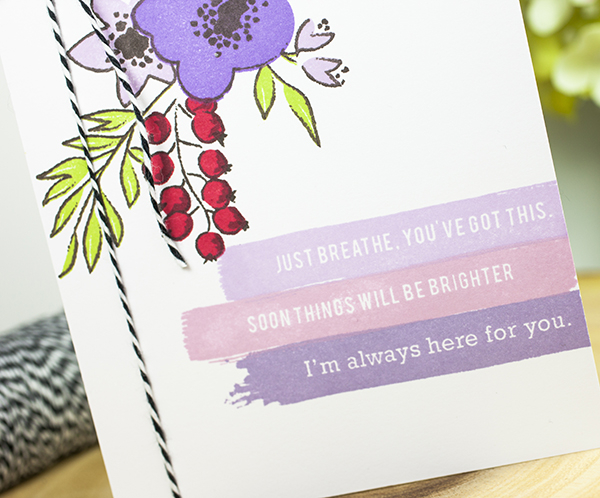 Supplies<br />
<br />
*all supplies are available at Papertrey Ink unless otherwise noted<br...