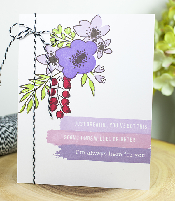 Supplies<br />
<br />
*all supplies are available at Papertrey Ink unless otherwise noted<br...