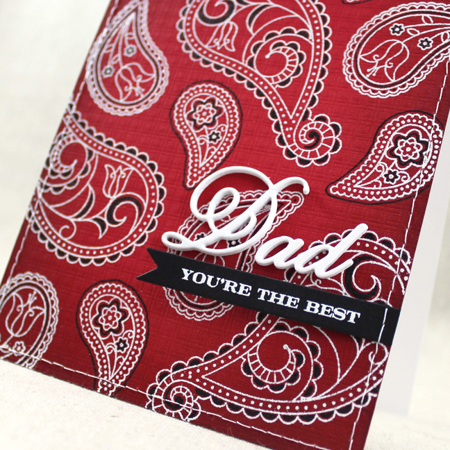 Stamps: Family Ties, What The Doodle: Paisley - Papertrey Ink<br />
Cardstock: Berry Sorbet,...