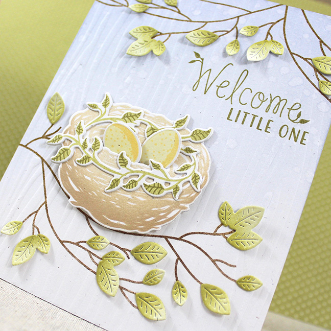 Stamps: Nesting - Papertrey Ink<br />
Cardstock: Rustic White, Classic Kraft - Papertrey Ink<br...