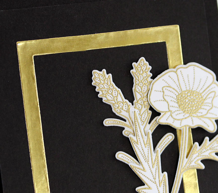 Supplies<br />
<br />
    STAMPS: Infinity Frames Sentiment, Stemmed Sentiments<br />...