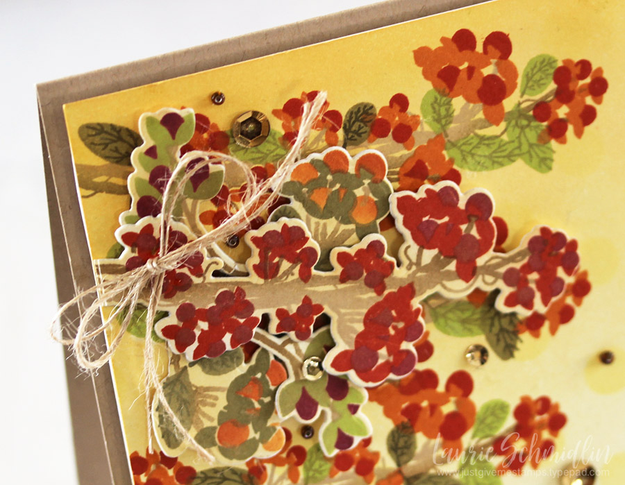 STAMPS:  Beautiful Berries: Autumn<br />
INK:  Harvest Gold, Lemon Tart, Canyon Clay, Terracotta...