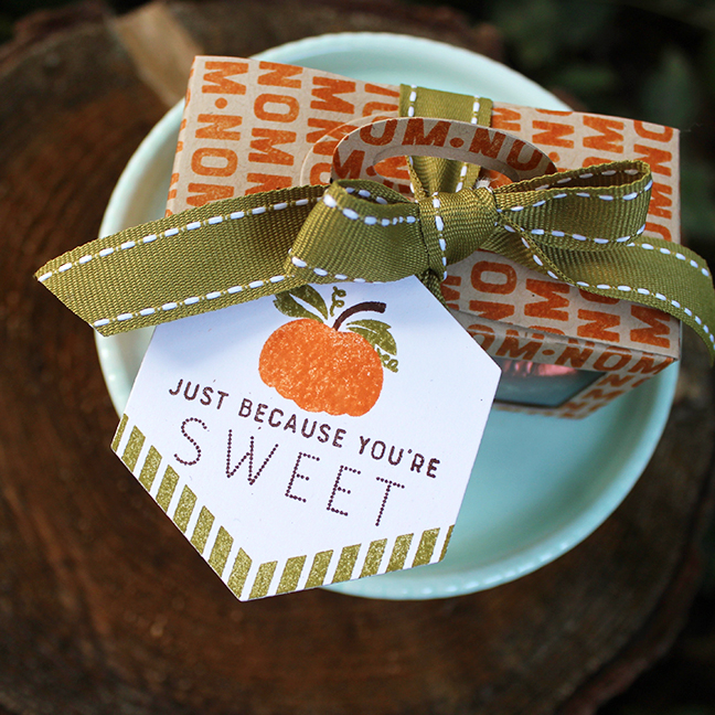 STAMPS: Bite Size Tags<br />
CARDSTOCK: Classic Kraft, Rustic White, Clear<br />
INK: Canyon...