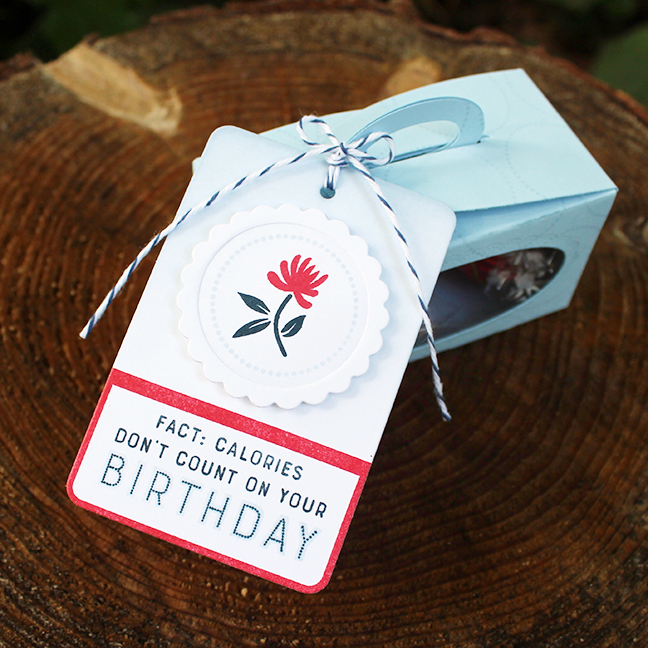 STAMPS: Bite Size Tags<br />
CARDSTOCK: Spring Rain, Clear, White<br />
INK: Pure Poppy, Dark...