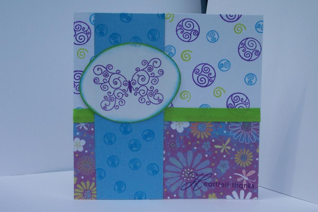 butterfly kisses, square