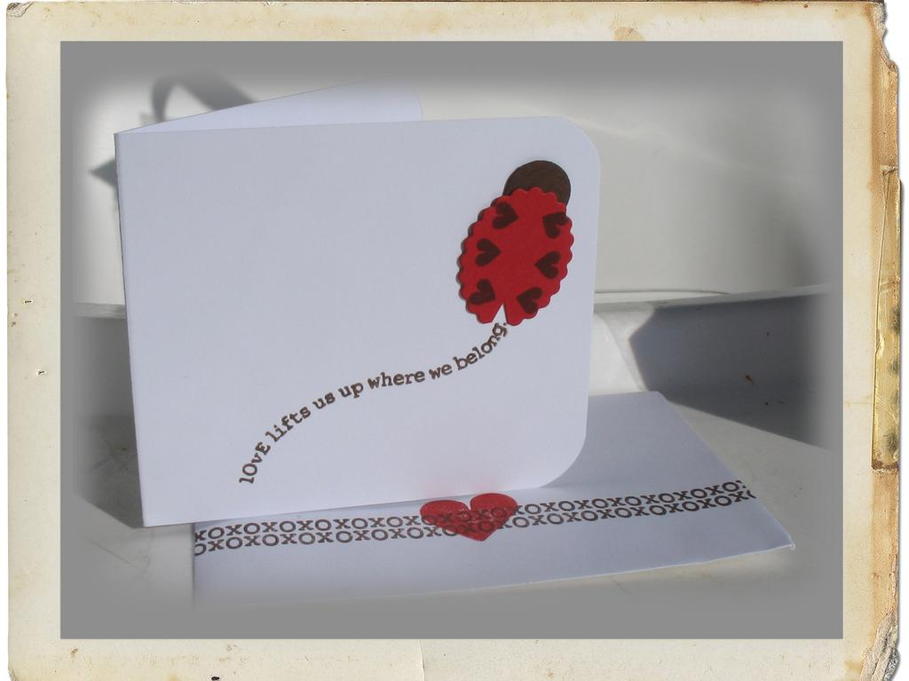 supplies:<br />
cs- shimmer white, pure poppy &amp; dark chocolate<br />
ink- pure poppy &amp;...