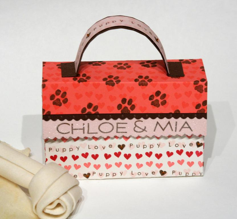 My dog Pookie (a Bichon) is giving this Valentine's treat bag filled with dog treats to her...