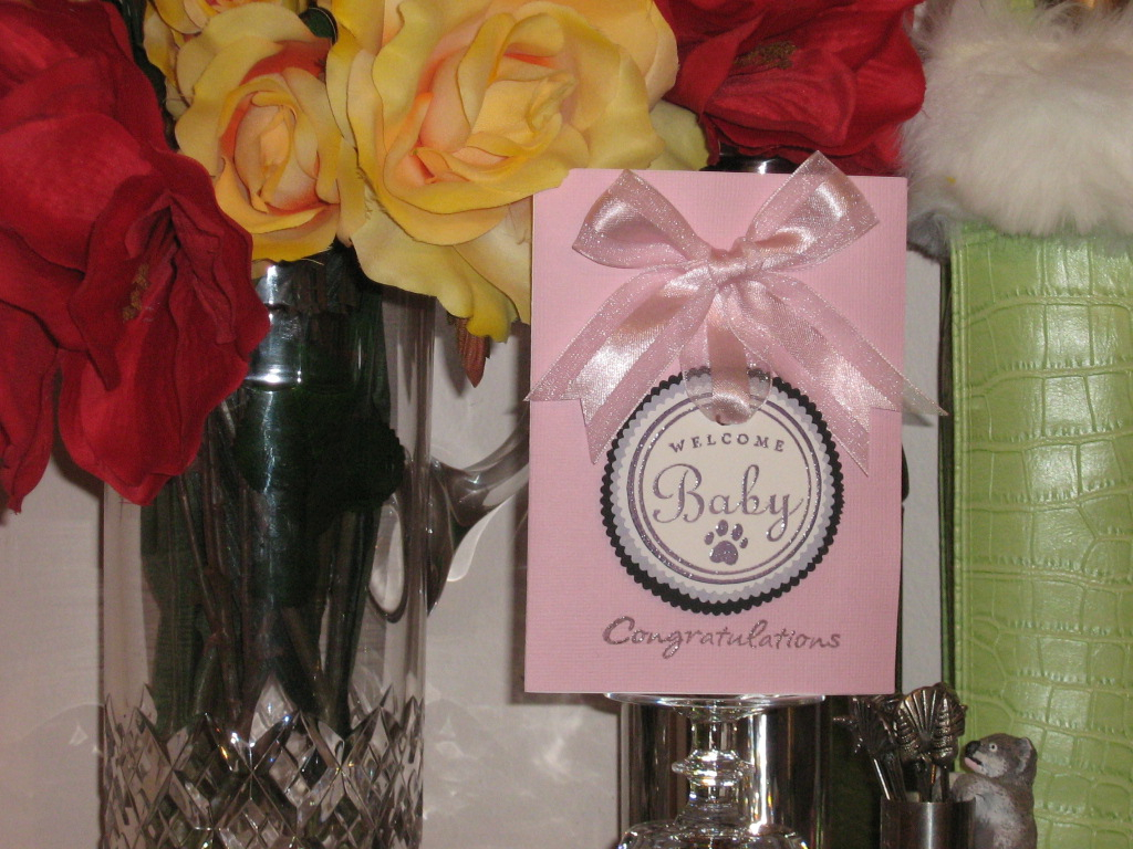 Welcome Baby (new pet)