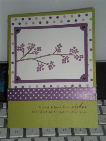 i used polka dot paper, out on a limb revised and out on a limb sentiments