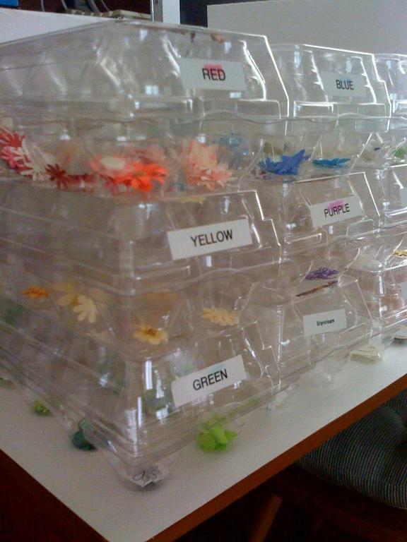 embellishments storage in clear egg cartons