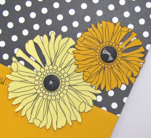 Friend flowers closeup
