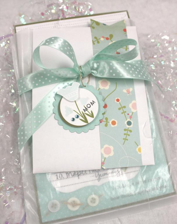 Supplies:  Spellbinders Circle Die Templates, Aqua Mist Swiss Dot Ribbon, Large Glassine Sack.