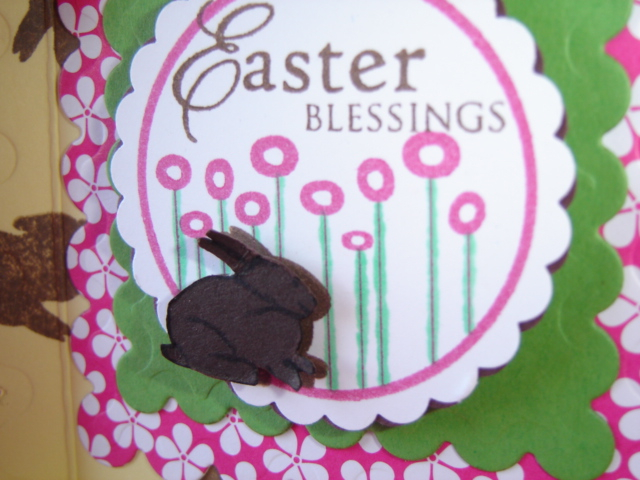 Close up of this fun little bunny