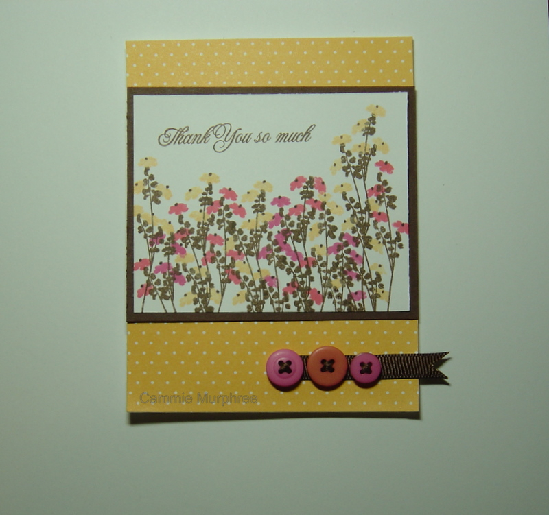 Raspberry Suite Challenge 1