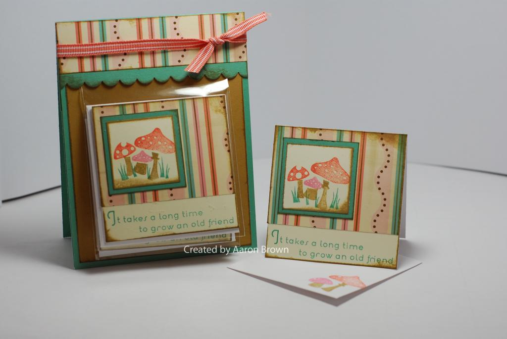 This is a 3x3 card holder and set of 3x3 cards. I used the cute little mushrooms from Forest...