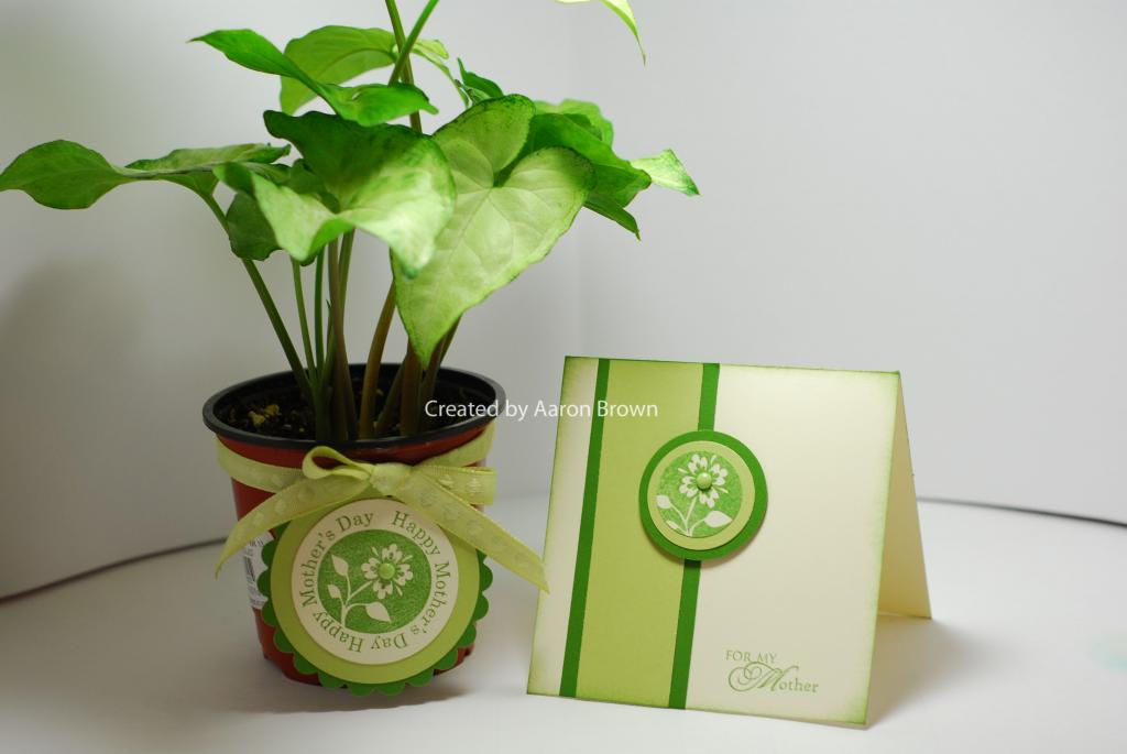 My mom loves plants.  I used the Easter Tags stamp set to create a cute tag for the plant and a...