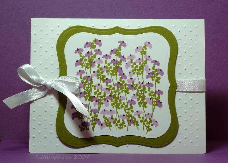 Cammie Murphree<br />
April entry for previously released set<br />
Coneflowers<br />
Stamps:...