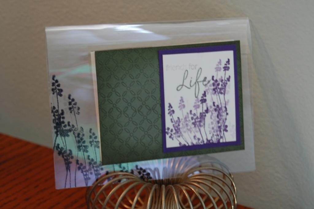 Clear Acetate card stock and Life stamp set